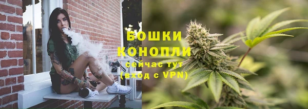 СК Аркадак