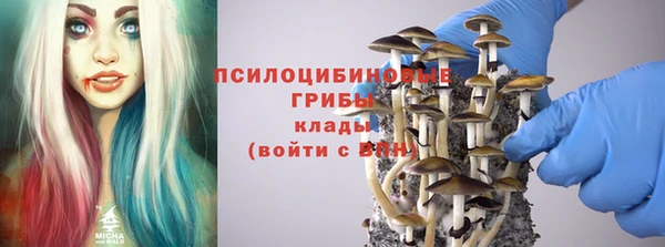 бошки Нязепетровск