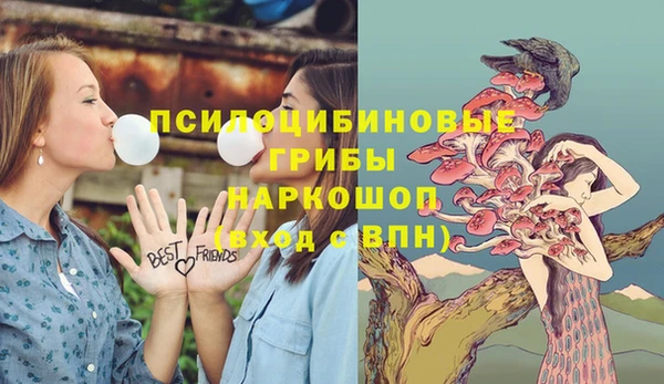 бошки Нязепетровск