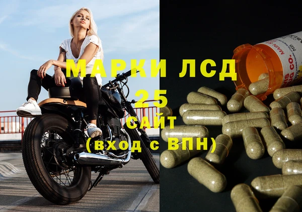 СК Аркадак