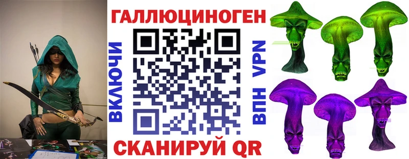KRAKEN ССЫЛКА  Гаджиево  Галлюциногенные грибы GOLDEN TEACHER 
