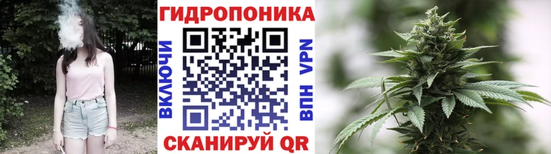 хочу   Гаджиево  Каннабис SATIVA & INDICA 
